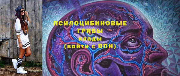 ГАЛЛЮЦИНОГЕННЫЕ ГРИБЫ Семёнов
