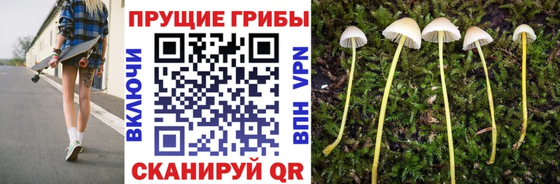mega как войти  площадка как зайти  Галлюциногенные грибы Magic Shrooms  Усмань 